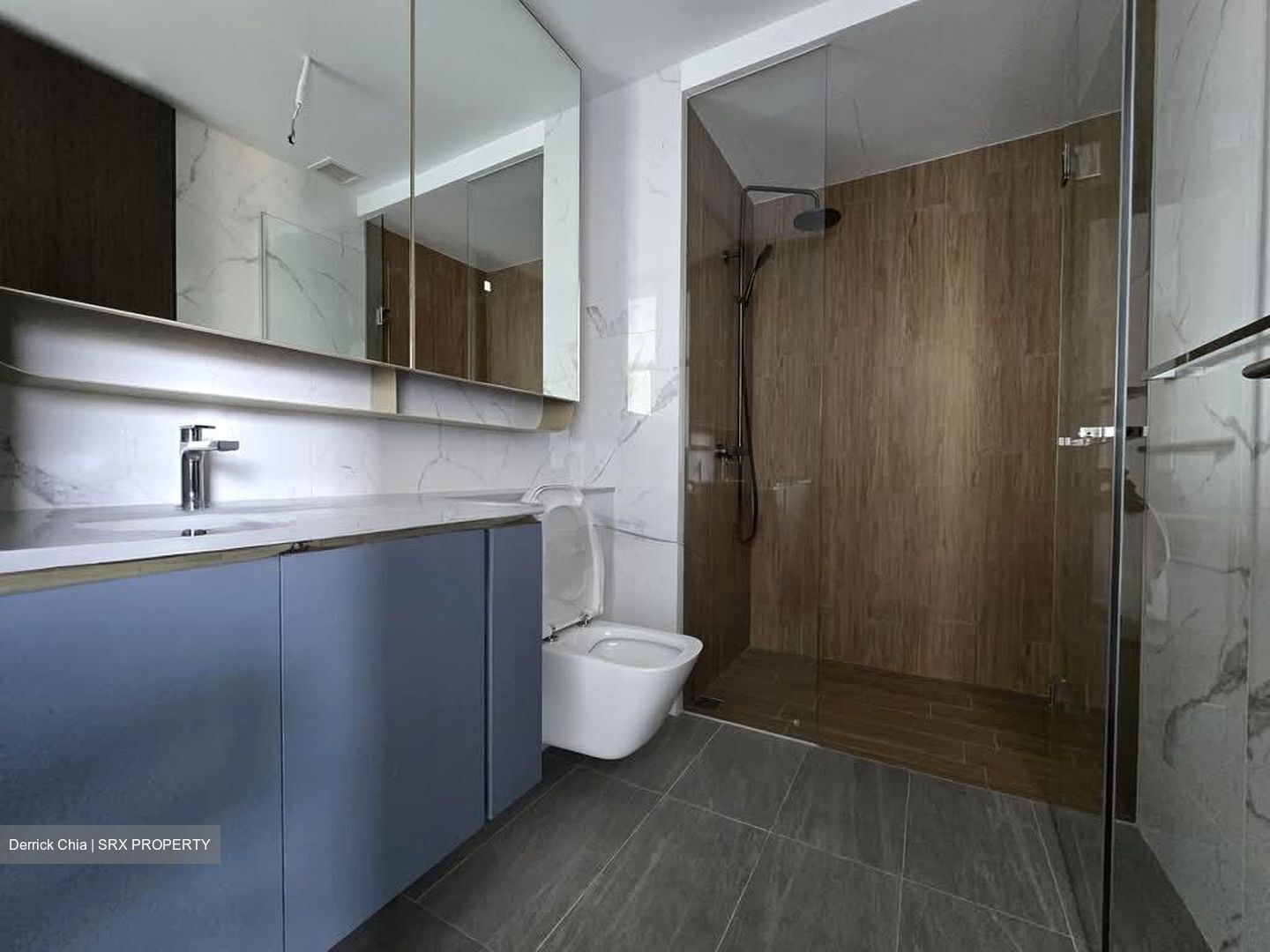 Amo Residence (D20), Apartment #555140781